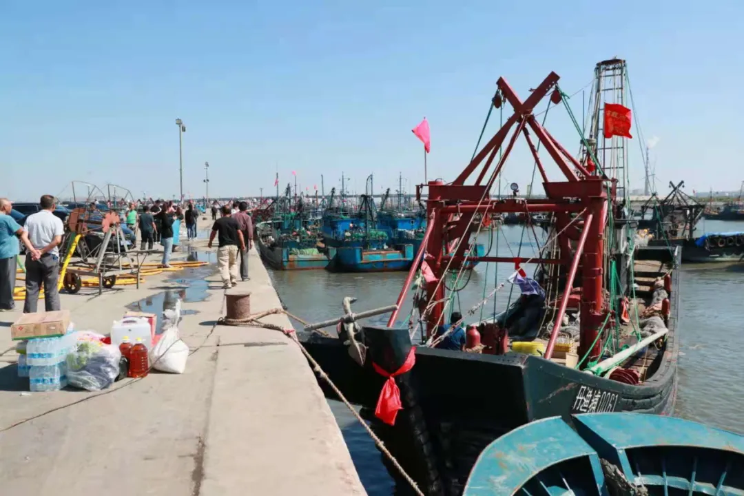 東港，開海了！海鮮批發(fā)海鮮零售請找仟貝福